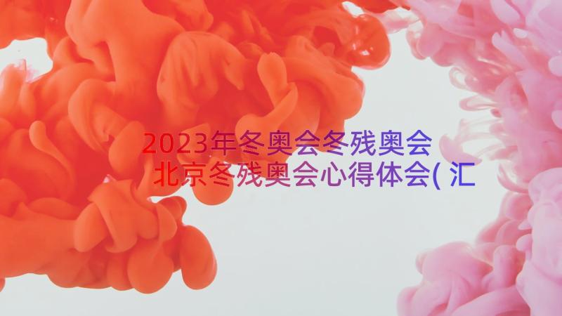 2023年冬奥会冬残奥会 北京冬残奥会心得体会(汇总17篇)