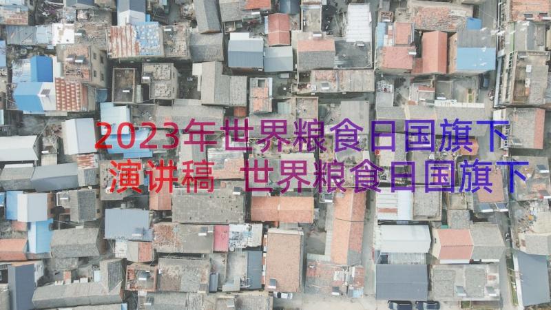 2023年世界粮食日国旗下演讲稿 世界粮食日国旗下讲话稿小餐桌大文明(汇总8篇)