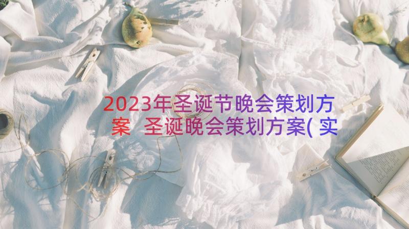 2023年圣诞节晚会策划方案 圣诞晚会策划方案(实用5篇)