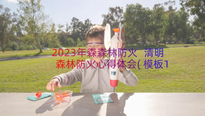 2023年森森林防火 清明森林防火心得体会(模板10篇)