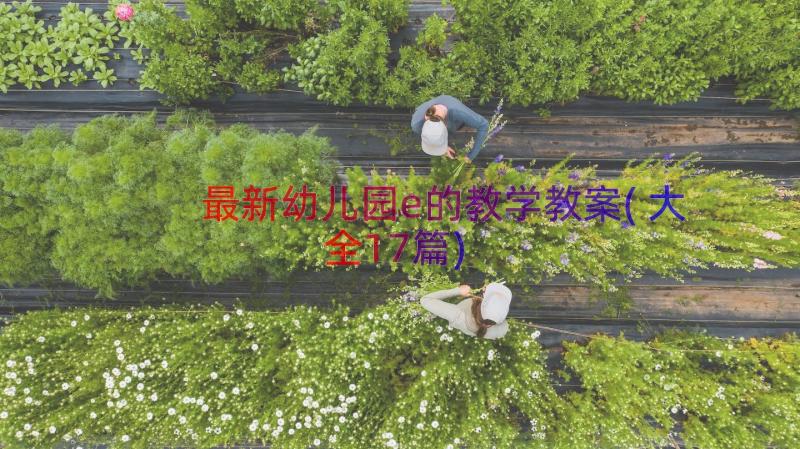 最新幼儿园e的教学教案(大全17篇)