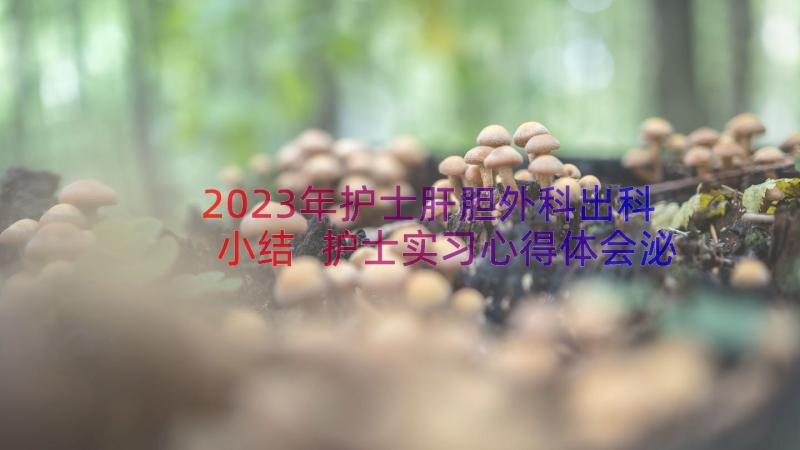 2023年护士肝胆外科出科小结 护士实习心得体会泌尿外科(精选20篇)