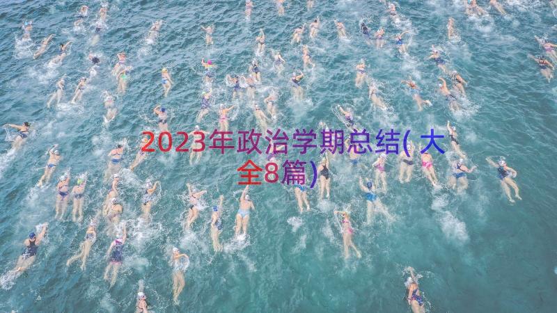 2023年政治学期总结(大全8篇)