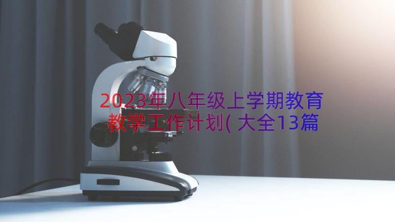 2023年八年级上学期教育教学工作计划(大全13篇)