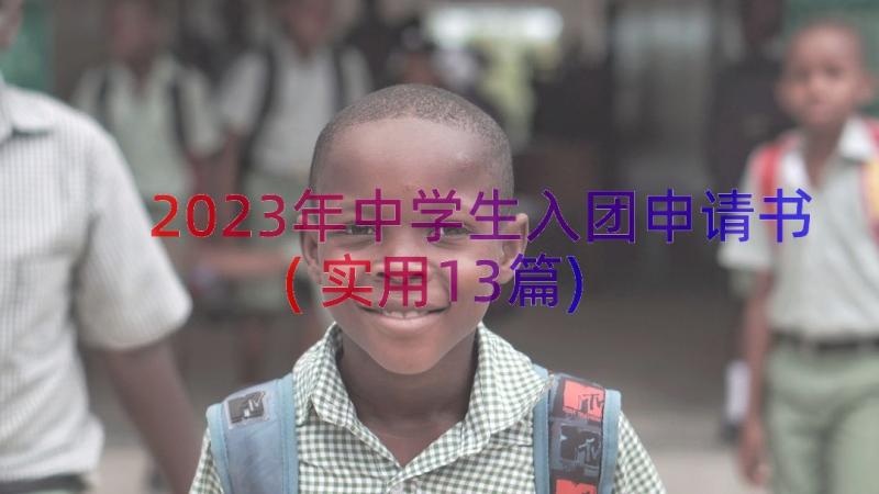 2023年中学生入团申请书(实用13篇)