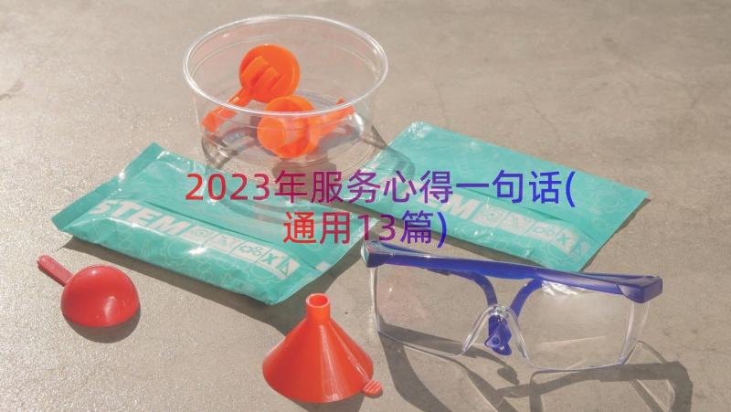 2023年服务心得一句话(通用13篇)