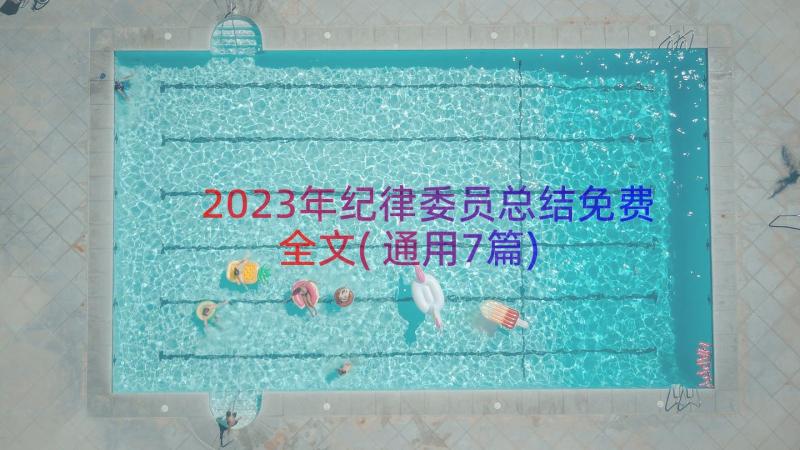 2023年纪律委员总结免费全文(通用7篇)