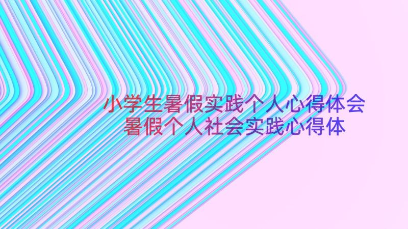 小学生暑假实践个人心得体会 暑假个人社会实践心得体会(优秀15篇)