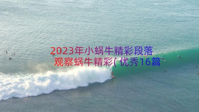 2023年小蜗牛精彩段落 观察蜗牛精彩(优秀16篇)