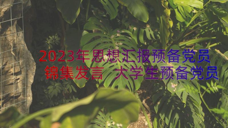 2023年思想汇报预备党员锦集发言 大学生预备党员思想汇报锦集(精选8篇)