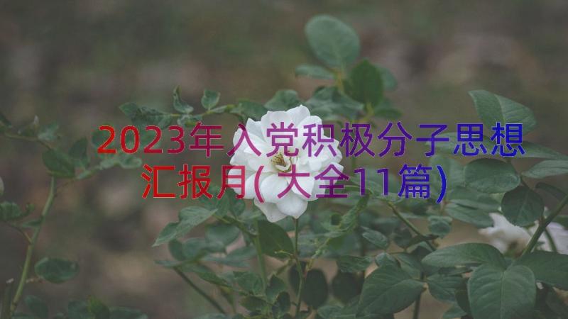 2023年入党积极分子思想汇报月(大全11篇)