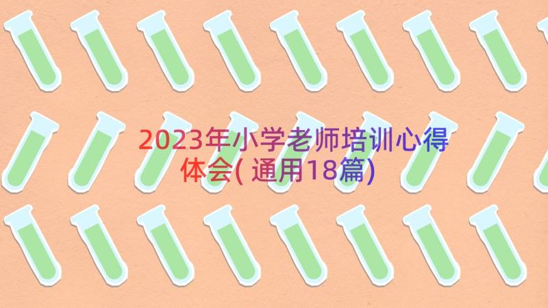 2023年小学老师培训心得体会(通用18篇)