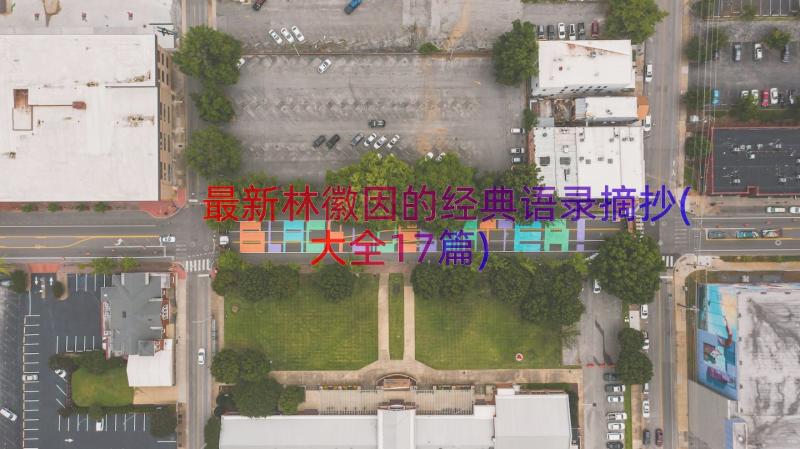 最新林徽因的经典语录摘抄(大全17篇)