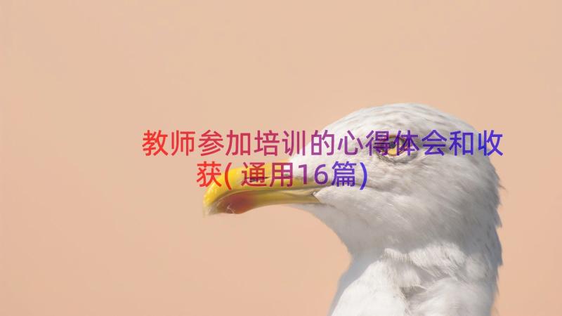 教师参加培训的心得体会和收获(通用16篇)