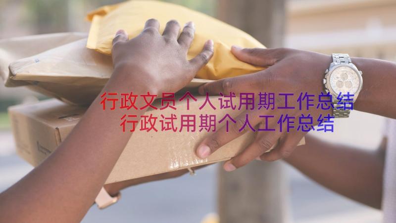 行政文员个人试用期工作总结 行政试用期个人工作总结(模板10篇)