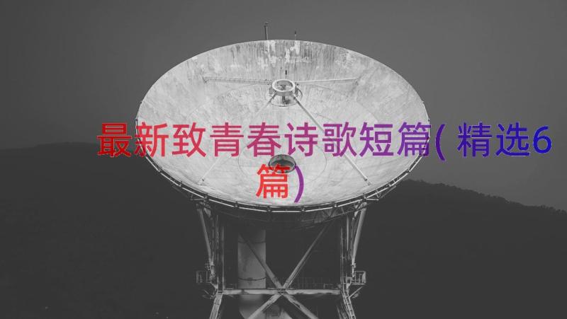 最新致青春诗歌短篇(精选6篇)