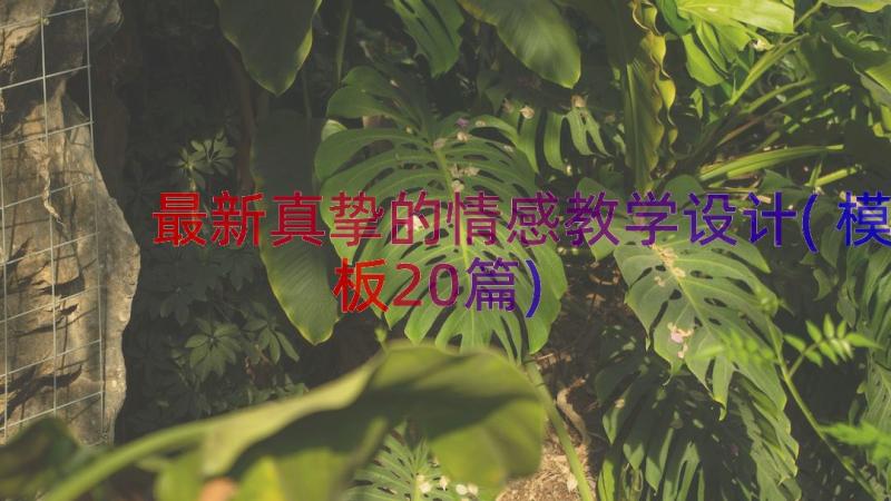 最新真挚的情感教学设计(模板20篇)