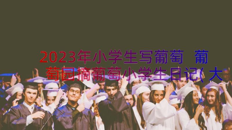 2023年小学生写葡萄 葡萄园摘葡萄小学生日记(大全9篇)