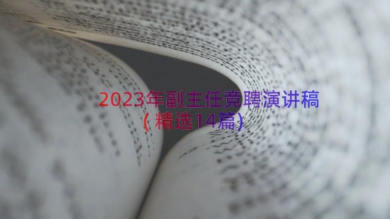 2023年副主任竞聘演讲稿(精选14篇)