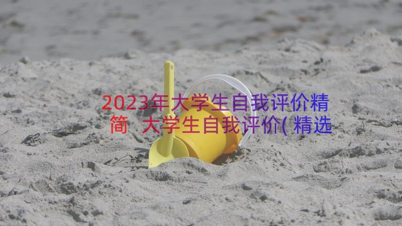 2023年大学生自我评价精简 大学生自我评价(精选9篇)