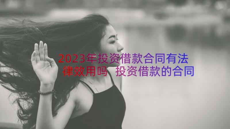 2023年投资借款合同有法律效用吗 投资借款的合同(汇总14篇)