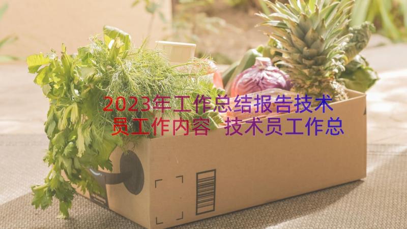 2023年工作总结报告技术员工作内容 技术员工作总结报告(汇总8篇)