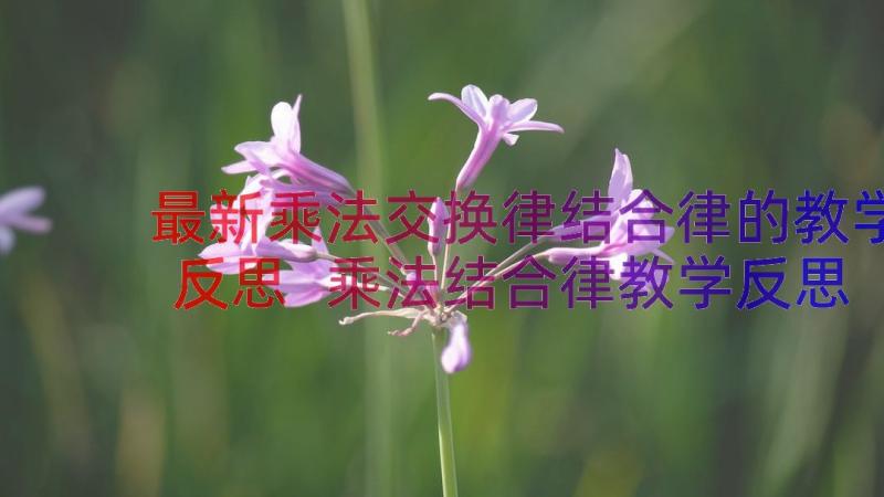 最新乘法交换律结合律的教学反思 乘法结合律教学反思(优秀8篇)