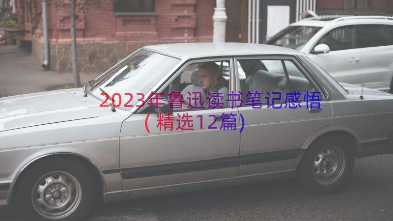 2023年鲁迅读书笔记感悟(精选12篇)