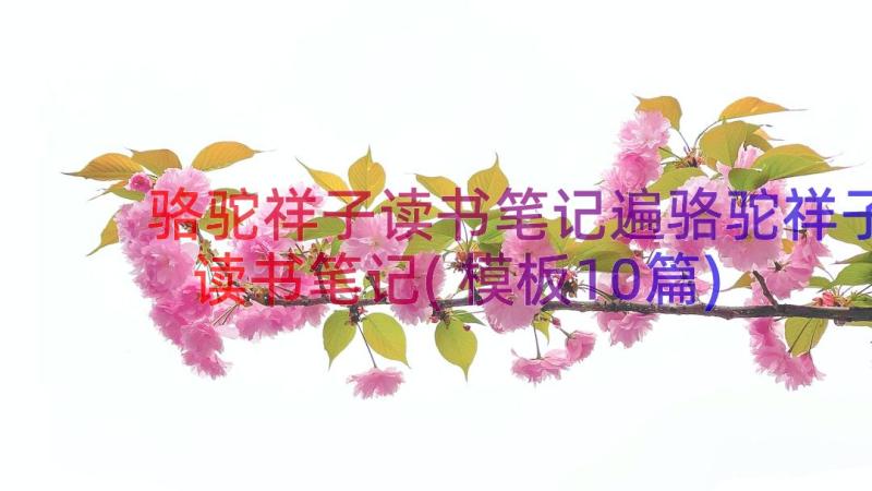 骆驼祥子读书笔记遍骆驼祥子读书笔记(模板10篇)