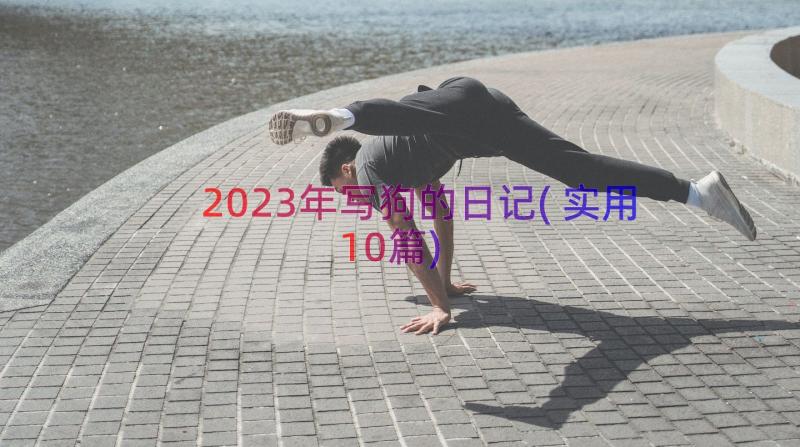 2023年写狗的日记(实用10篇)