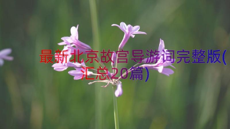 最新北京故宫导游词完整版(汇总20篇)