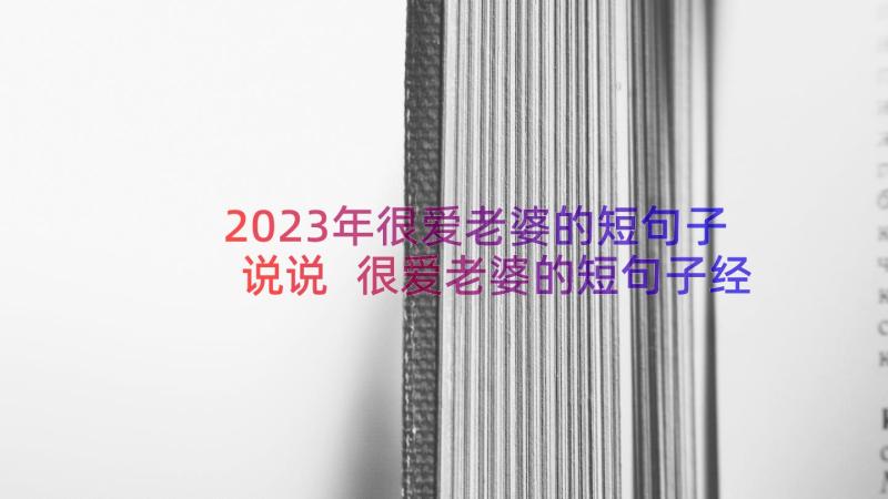 2023年很爱老婆的短句子说说 很爱老婆的短句子经典(大全12篇)