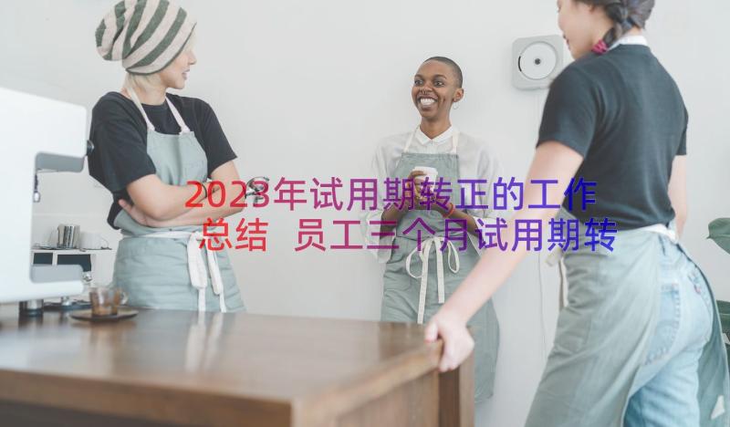 2023年试用期转正的工作总结 员工三个月试用期转正工作总结(通用16篇)