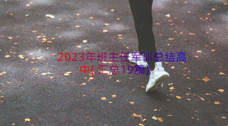 2023年班主任军训总结高中(汇总19篇)