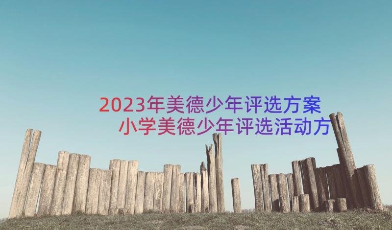 2023年美德少年评选方案 小学美德少年评选活动方案(大全8篇)