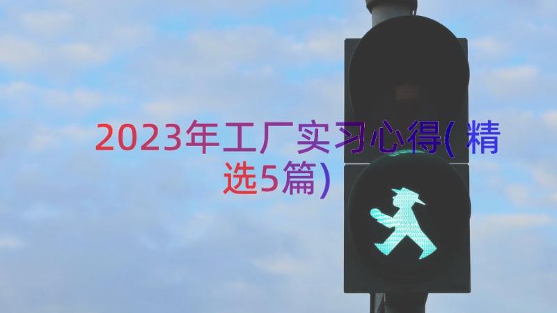 2023年工厂实习心得(精选5篇)