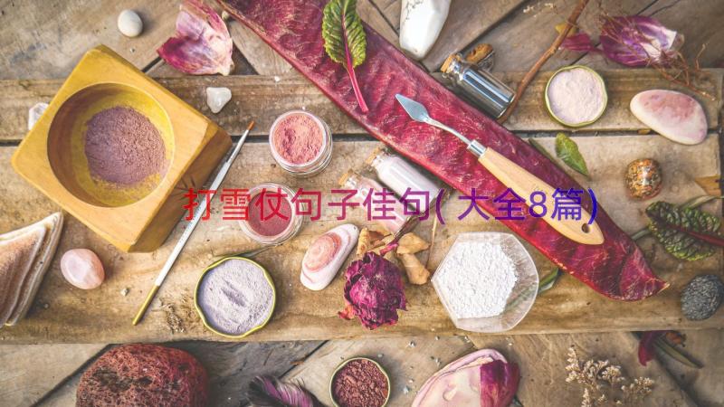 打雪仗句子佳句(大全8篇)