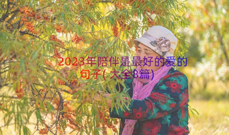 2023年陪伴是最好的爱的句子(大全8篇)