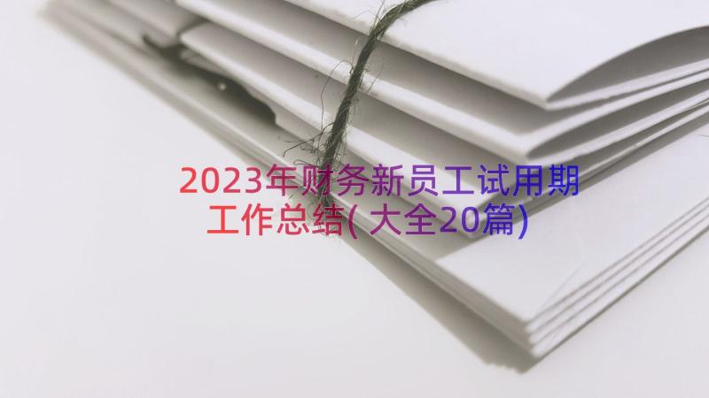 2023年财务新员工试用期工作总结(大全20篇)