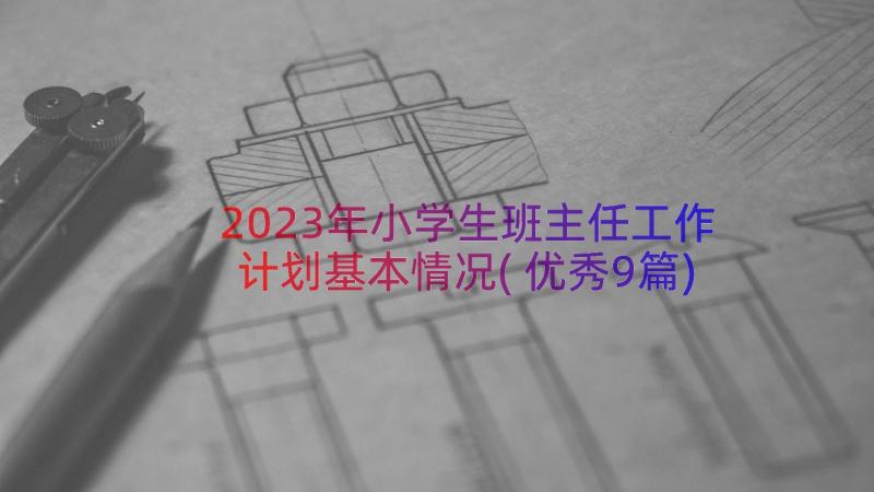 2023年小学生班主任工作计划基本情况(优秀9篇)