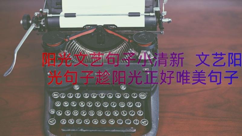 阳光文艺句子小清新 文艺阳光句子趁阳光正好唯美句子(实用8篇)