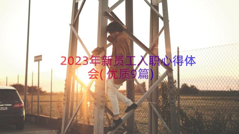 2023年新员工入职心得体会(优质9篇)