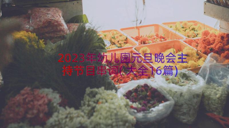 2023年幼儿园元旦晚会主持节目串词(大全16篇)