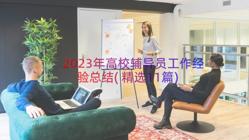 2023年高校辅导员工作经验总结(精选11篇)