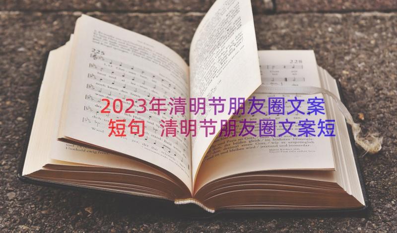 2023年清明节朋友圈文案短句 清明节朋友圈文案短句走心(模板8篇)