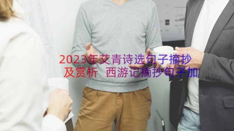 2023年艾青诗选句子摘抄及赏析 西游记摘抄句子加赏析(实用12篇)