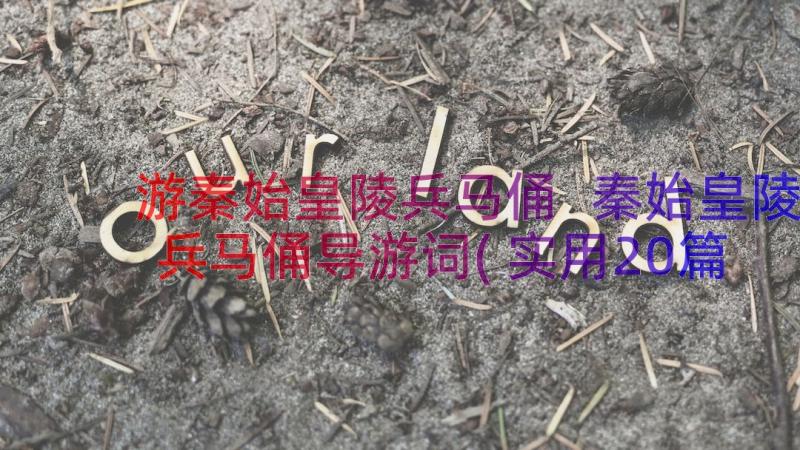 游秦始皇陵兵马俑 秦始皇陵兵马俑导游词(实用20篇)