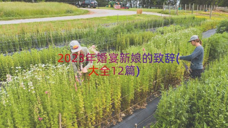 2023年婚宴新娘的致辞(大全12篇)