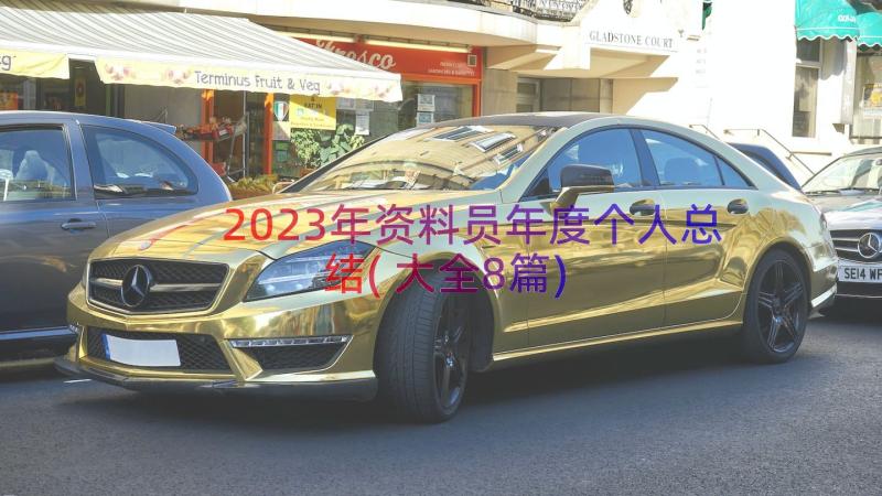 2023年资料员年度个人总结(大全8篇)