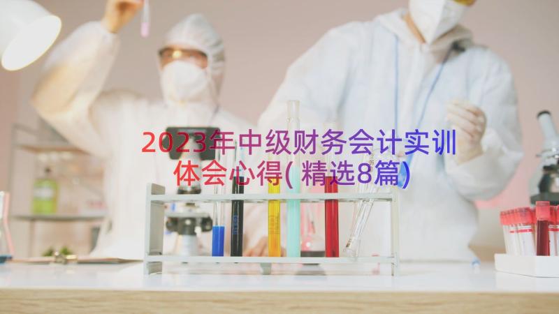 2023年中级财务会计实训体会心得(精选8篇)